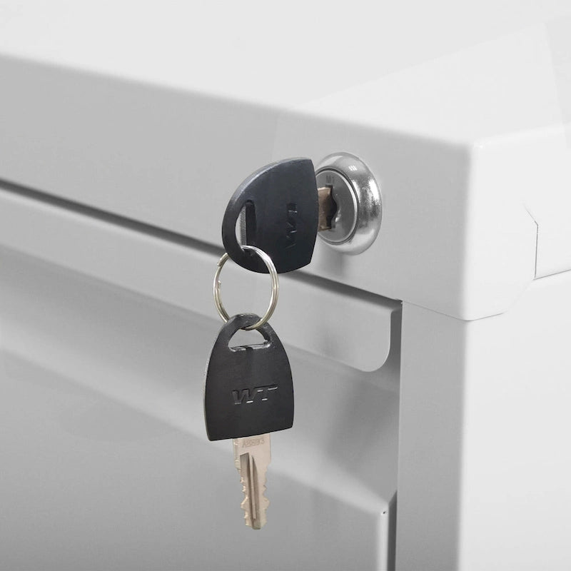 Classificatore versatile in metallo con serratura e ruote per casa e ufficio