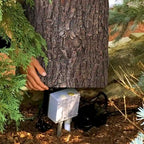 Copertura del ceppo d'albero in finto rovere per il cortile - Sgabelli da giardino a forma di tavolo rotondo per ceppo d'albero