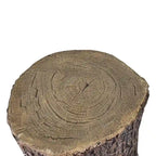 Copertura del ceppo d'albero in finto rovere per il cortile - Sgabelli da giardino a forma di tavolo rotondo per ceppo d'albero